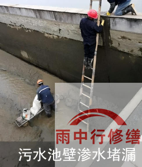 肇庆2026年防水龙头半月两次涨价，行业格局重塑信号